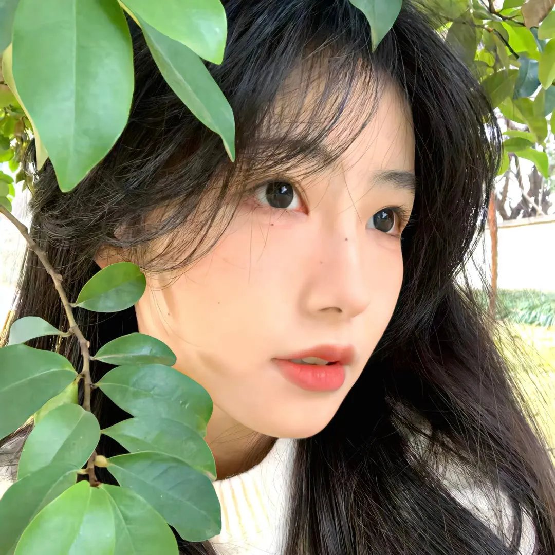 罗扎布先生的混乱爱情